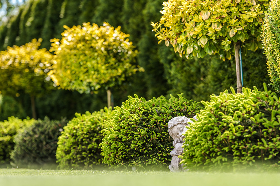 Le jardin du souvenir